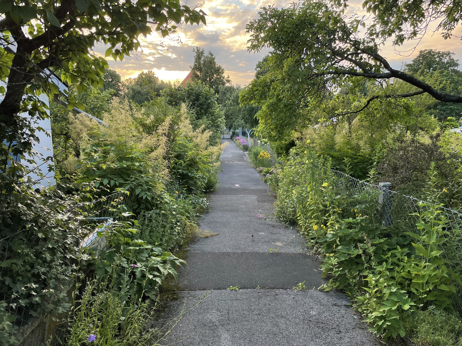 Rundgang